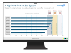 Bar chart on a computer screen compares cumulated functional scores for ten functions, with customer experience benchmarks and gold certification criteria shown on the right.